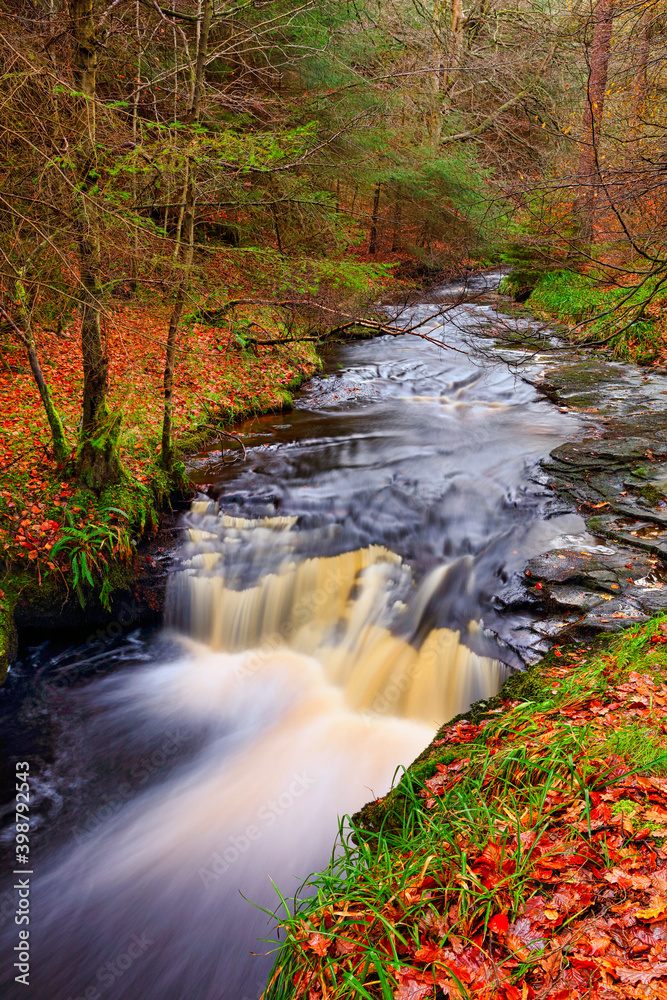 Autumnal Landscape of a Forrest and a Waterfall, Hamsterley Forrest, County Durham, England, UK.