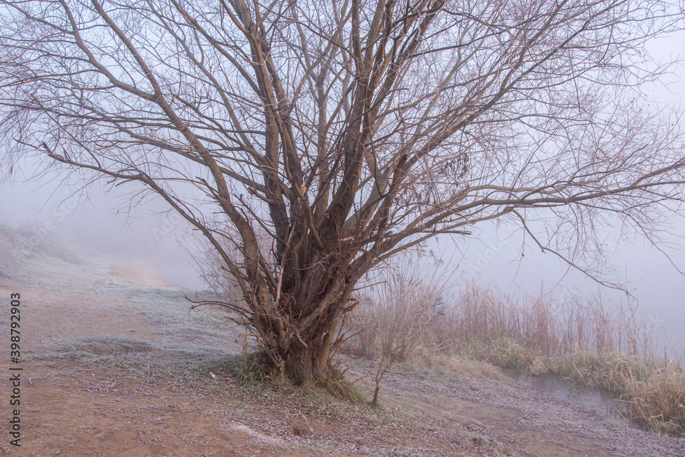 Ukraine, Kyiv - 30 November 2020: Nebrezh Lake at the frozen mist morning weather