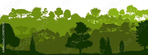 Deciduous forest. Silhouette. Mature, spreading trees. Thick thickets. Hills overgrown with plants. Isolated on a white background. Vector