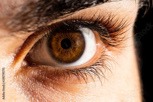 Very close detail of the brown-colored male eye with backlight