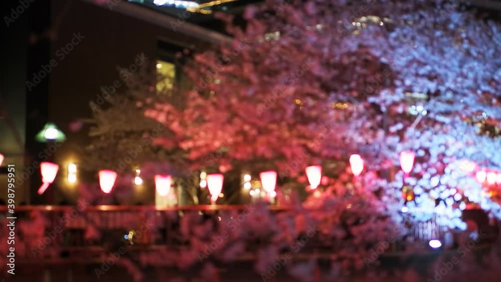 Tokyo, Japan Pink paper lanterns focus rack with cherry blossom flower trees along Meguro river during Hanami festival by Naka-Meguro Station Tokyo, Japan Pink paper lanterns focus rack with cherry blossom flower trees along Meguro river during Hanami festival by Naka-Meguro Station