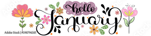 JANUARY Vector.  Hello January month with flowers and leaves. Decoration floral. Illustration month January