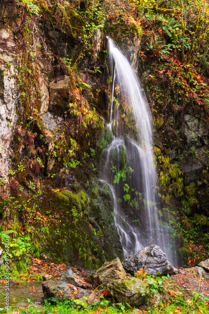 Fototapeta premium Waterfall near Baker Lake, Mount Baker Snoqualmie National Forest, Washington