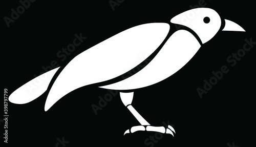 white crow, bird animal vector isolated design on black background. Concept for logo, print