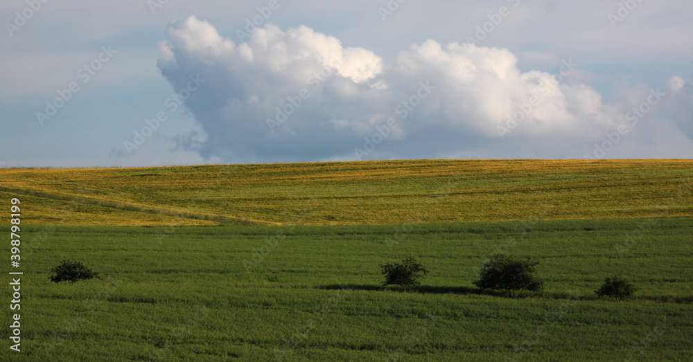 Extensively used pasture farmland with scattered fruit trees and meadows in the Hunsrück mountains, Germany 