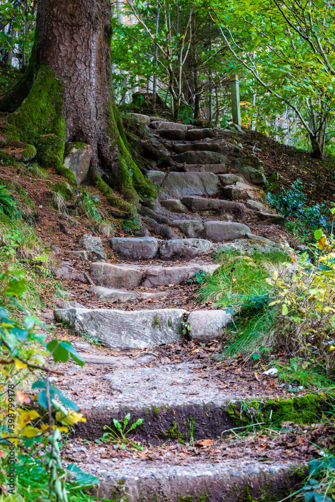 Ancient Stone Steps Glencoe Scottish Highlands