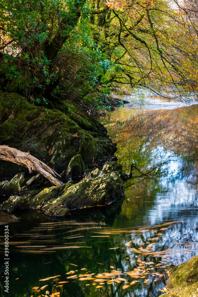 River Coe Swirling Leaves Glencoe Scottish Highlands