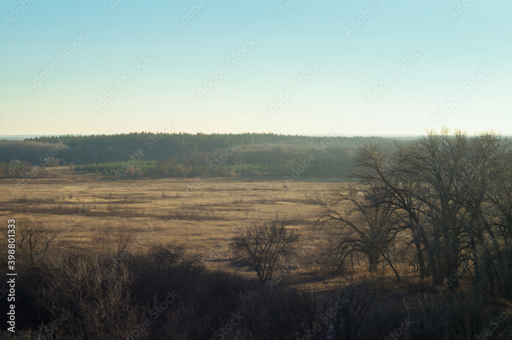 Late autumn landscape, wild nature in October November. fields forests and trees on a clear day Late autumn landscape, wild nature in October November. fields forests and trees on a clear day
