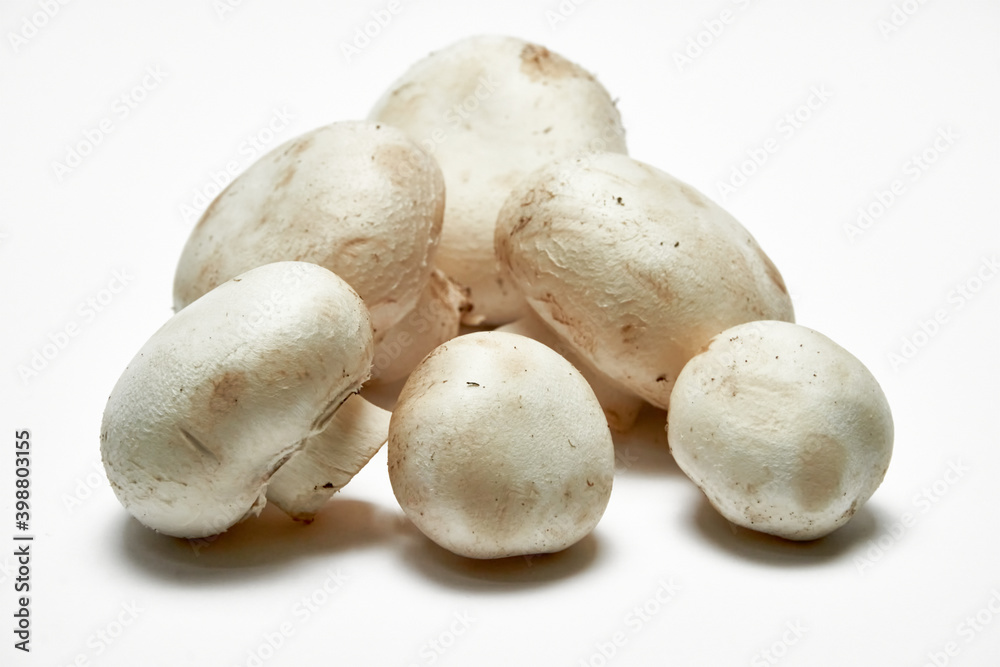 White mushrooms champignons on a light background.
