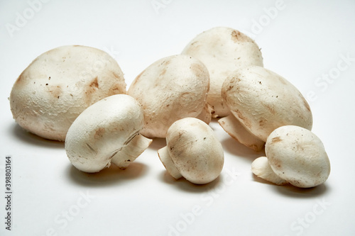 White mushrooms champignons on a light background.