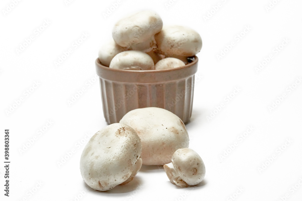 White mushrooms champignons on a light background. White mushrooms champignons on a light background.