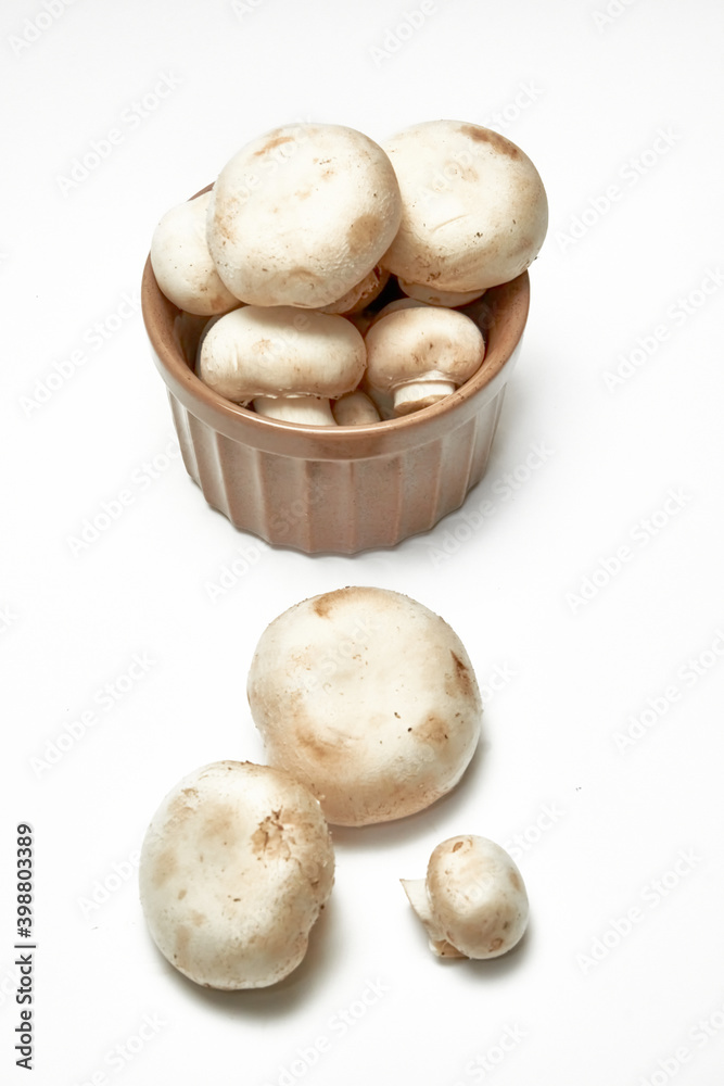 White mushrooms champignons on a light background. White mushrooms champignons on a light background.
