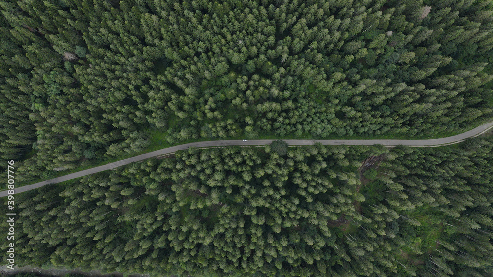 The road that passes through the middle of the forest