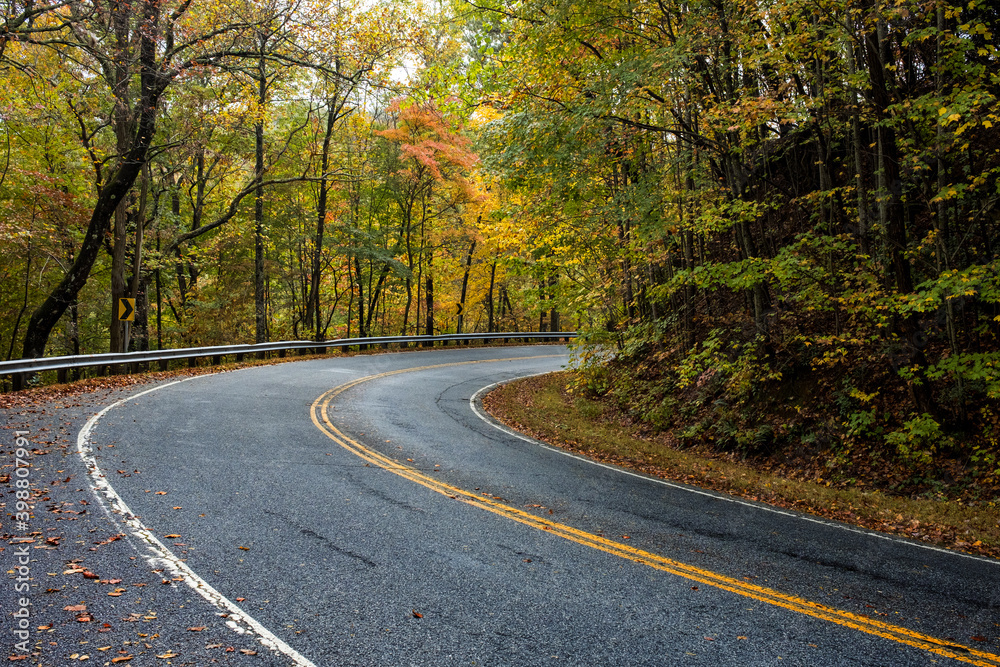 Fototapeta premium Curved Country Scenic Road Surrounded by Colorful Autumn Trees