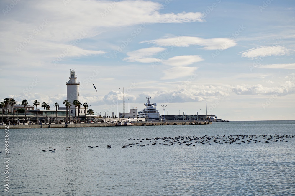 Puerto y Farola de Málaga bajo un cielo con nubes blancas y sobre un mar lleno de gaviotas en reposo. 