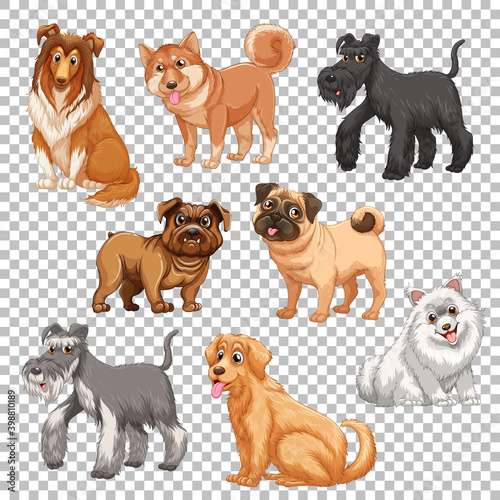 Set of different dogs isolated