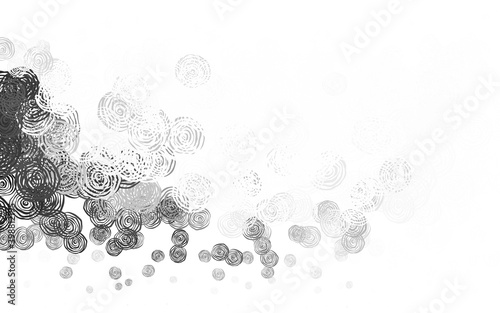 Light Gray vector elegant background with roses.