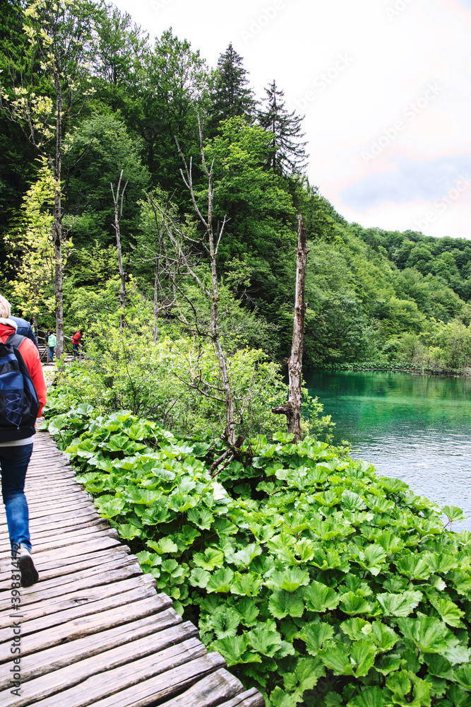 Plitvice Lakes beautiful nature, wood bridge. lakes, waterfall, rainbow, rivers. Plitvice Lakes beautiful nature, wood bridge. lakes, waterfall, rainbow, rivers.