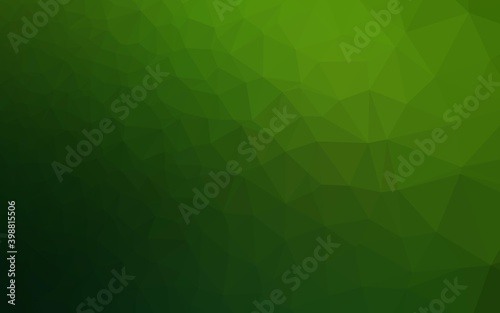 Light Green vector low poly layout. A sample with polygonal shapes. New texture for your design.