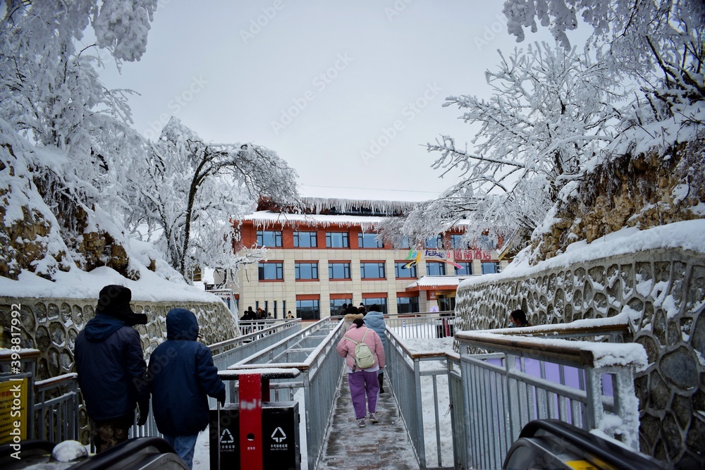 Naklejka premium car in the snow