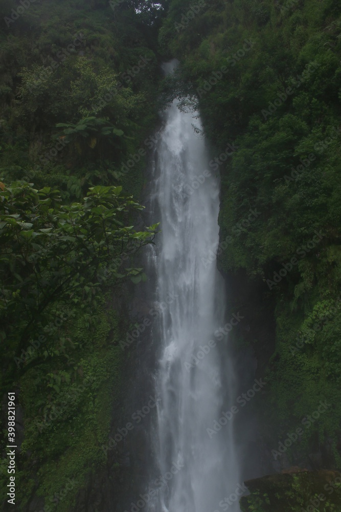 This photo is a photo of the tourist attraction of Curug Bajing which is tall and large. the location of Pekalongan, Central Java Indonesia.
This photo is a photo of the tourist attraction of Curug Bajing which is tall and large. the location of Pekalongan, Central Java Indonesia.