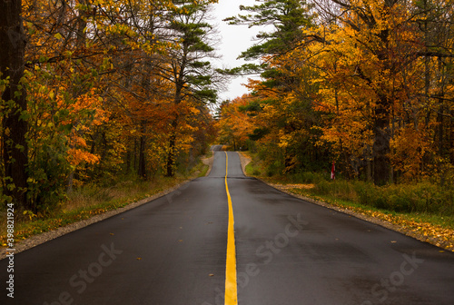 A fall drive after a rainfall to view the colourful autumn trees. 
