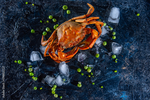 crab on board with ice  and piece