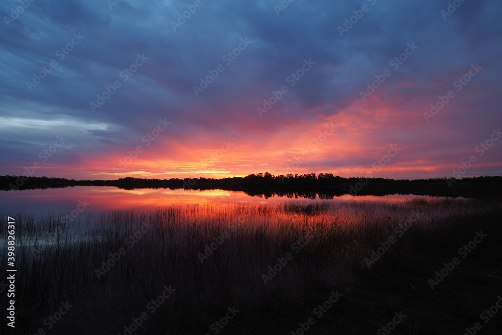 Colorful sunrise cloudscape reflected on tranquil water of Nine Mile Pond in Everglades National Park, Florida.