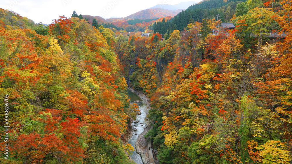 Oyasukyo Gorge in Akita Prefecture, Tohoku, Japan. Oyasukyo Gorge in Akita Prefecture, Tohoku, Japan.