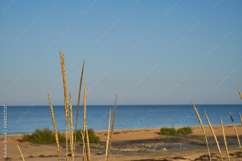 Image of a sandy beach.