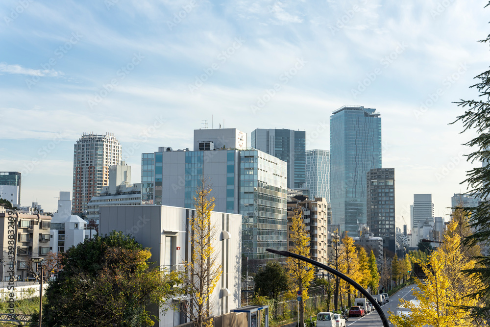 Naklejka premium 都市の風景 東京渋谷