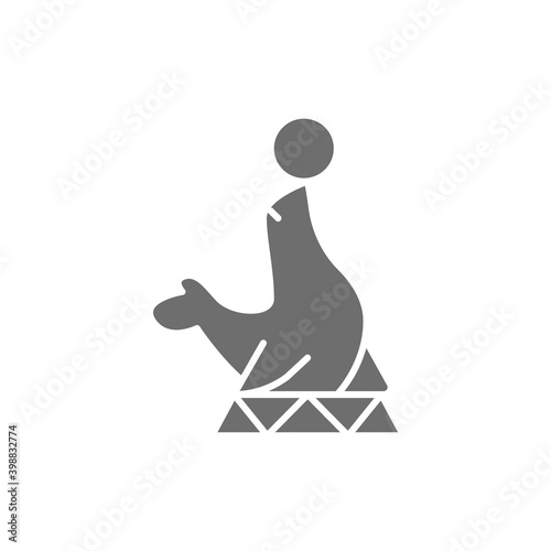 Fur seal, circus animal show grey icon.