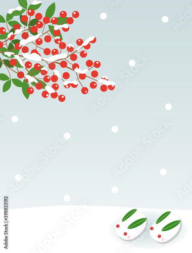 南天17　雪うさぎ