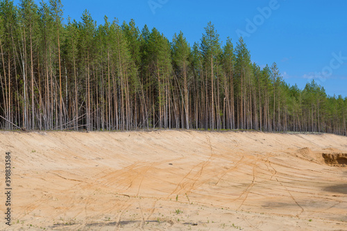 Border of a coniferous forest and a sand pit on a sunny summer day. Kostroma region, Russia