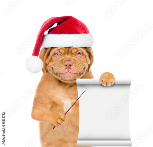 Smiling puppy wearing red christmas hat points at empty list. isolated on white background © Ermolaev Alexandr