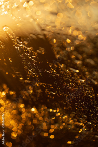water drops on sunset