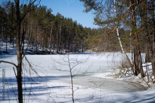 hore of a frozen lake in the winter