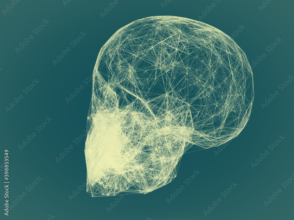 Skull 3D, illustration, art, rendering Skull 3D, illustration, art, rendering