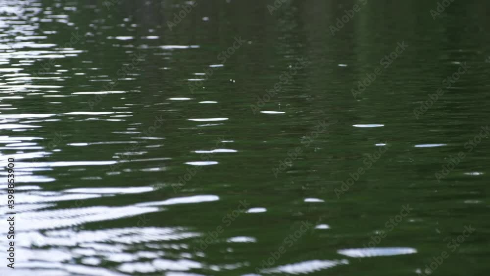 Wave rippling in the lake Wave rippling in the lake