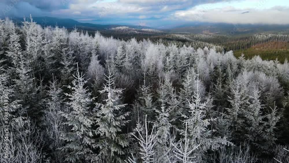Winter forest of frost on the trees. Aerial view of frozen forest with snow-covered trees in winter. Flight over the winter forest in Finland, top view. Winter forest of frost on the trees. Aerial view of frozen forest with snow-covered trees in winter. Flight over the winter forest in Finland, top view.