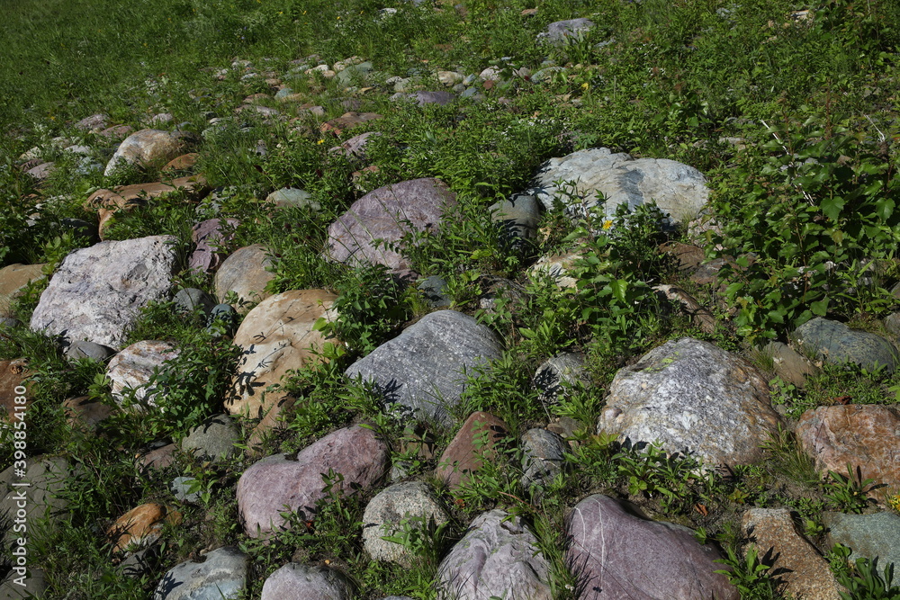 Image of stones of different colors gray brown yellow and texture half in the ground overgrown with grass in the wild.Natural rocks coating