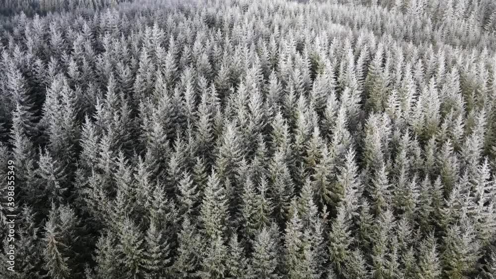 Winter forest of frost on the trees. Aerial view of frozen forest with snow-covered trees in winter. Flight over the winter forest in Finland, top view. Winter forest of frost on the trees. Aerial view of frozen forest with snow-covered trees in winter. Flight over the winter forest in Finland, top view.