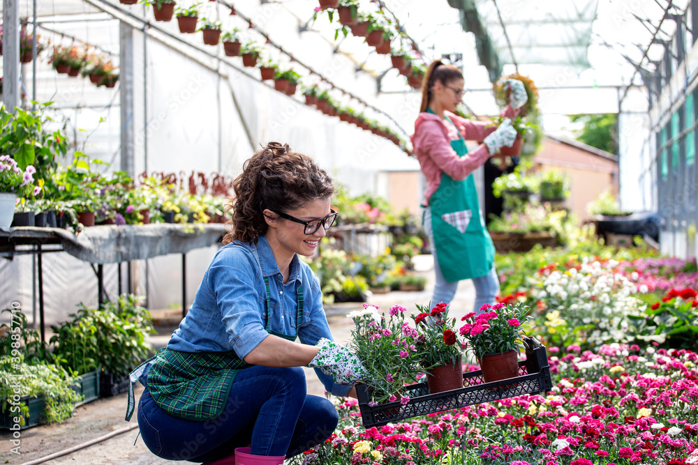 Two young woman florist working in nursery garden Two young woman florist working in nursery garden