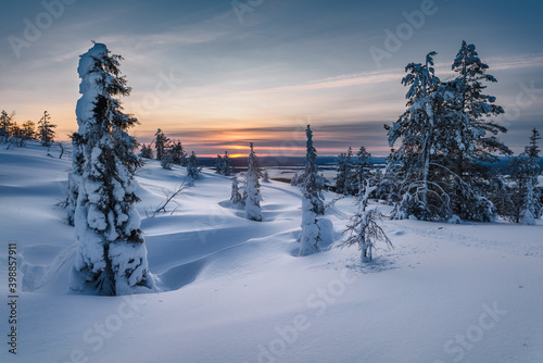 It was getting dark. Sunset over the winter polar forest in the north of Russia near the town of Kandalaksha. Murmansk region