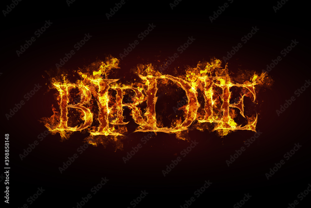 Birdie name made of fire and flames Birdie name made of fire and flames