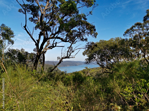 Beautiful morning view of the ocean, West Head Lookout towards Barrenjoey Head, Palm Beach, Sydney, New South Wales, Australia
