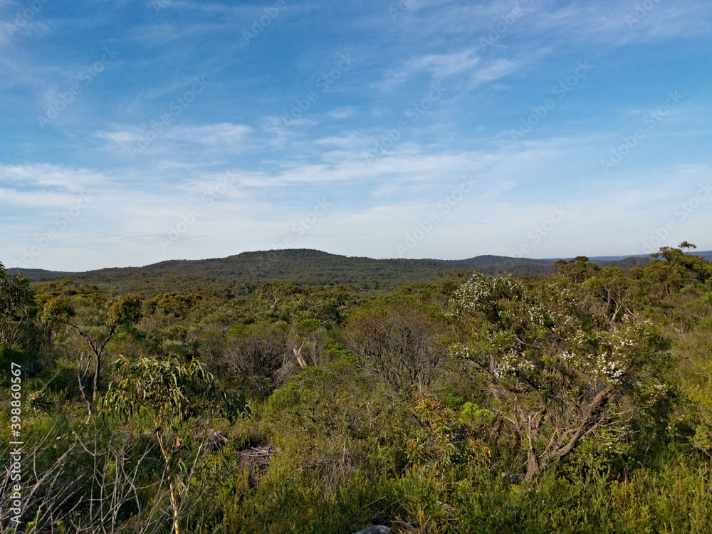 Beautiful afternoon view of mountain ranges, trees and deep blue sky from a trail, Mackerel Trail, Ku-ring-gai Chase National Park, Sydney, New South Wales, Australia
