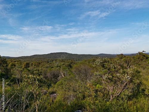 Beautiful afternoon view of mountain ranges, trees and deep blue sky from a trail, Mackerel Trail, Ku-ring-gai Chase National Park, Sydney, New South Wales, Australia 
