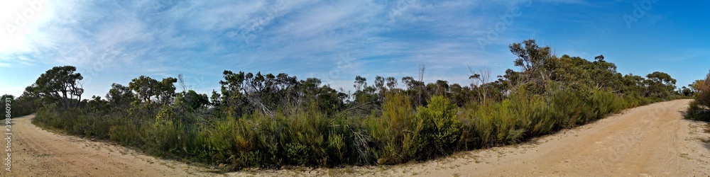Beautiful panoramic view of mountain ranges, trees and deep blue sky from a trail, Mackerel Trail, Ku-ring-gai Chase National Park, Sydney, New South Wales, Australia
