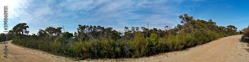 Beautiful panoramic view of mountain ranges, trees and deep blue sky from a trail, Mackerel Trail, Ku-ring-gai Chase National Park, Sydney, New South Wales, Australia  © Ivan